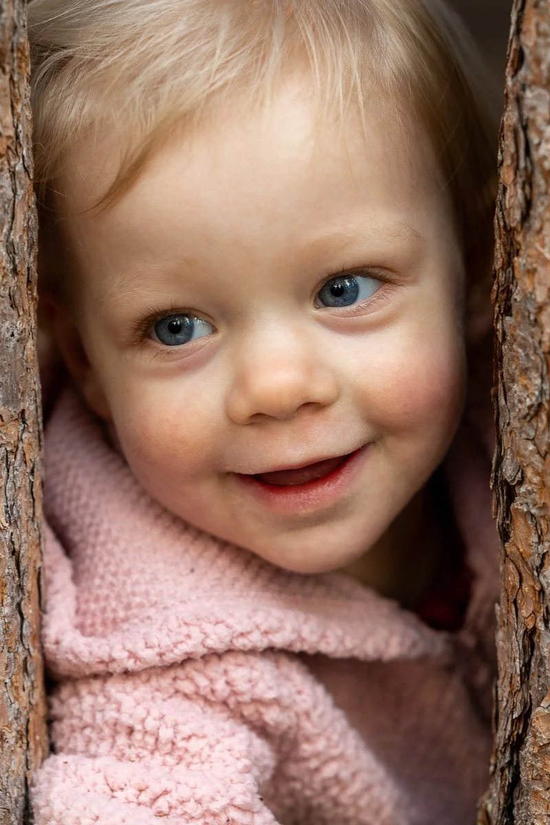 Close-up portrait of a toddler peeking through a gap in tree bark logs at Camp Richardson during a documentary family photography session at Lake Tahoe