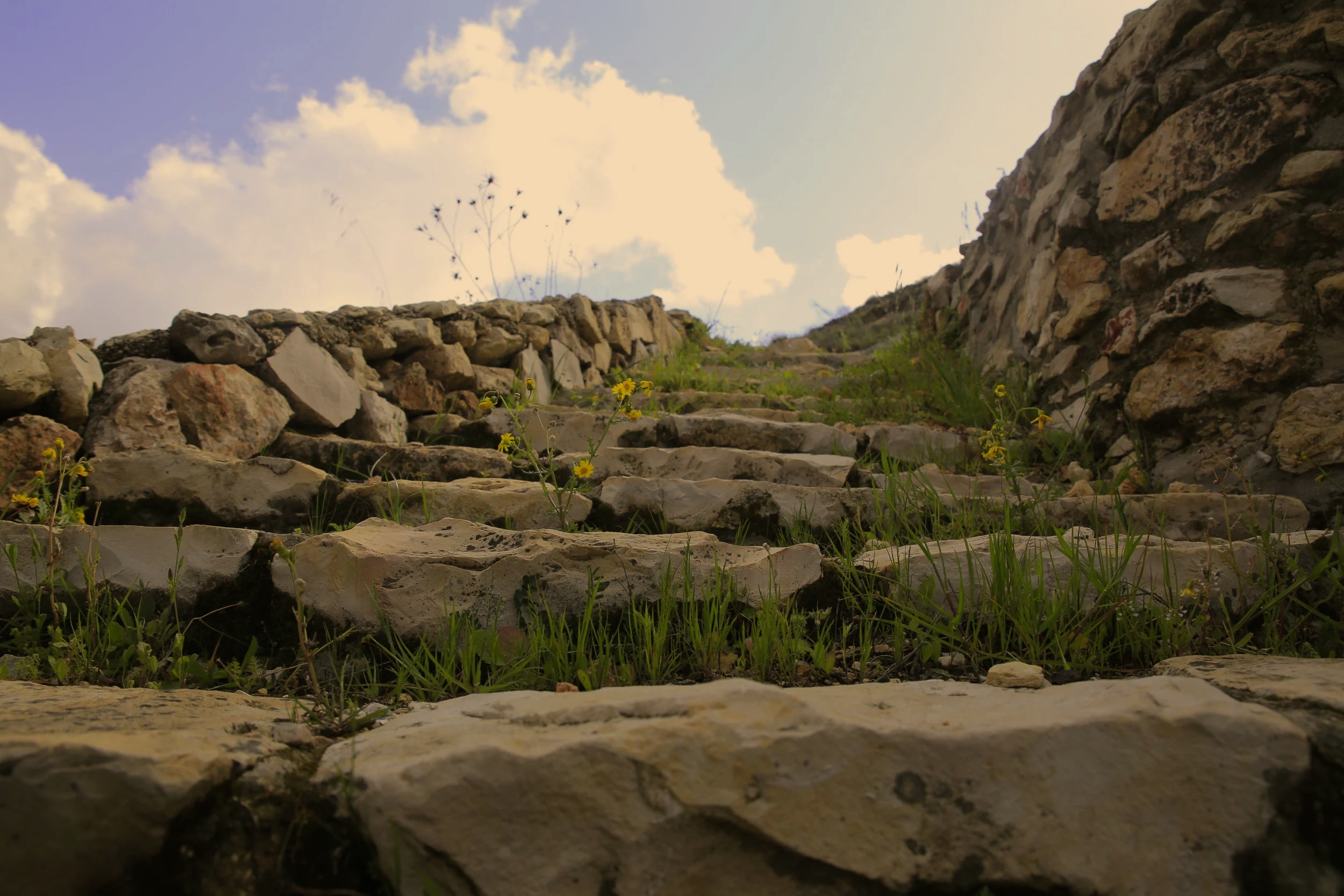 Stone steps ascending a hillside with wildflowers and grass on either side, under a partly cloudy sky.
