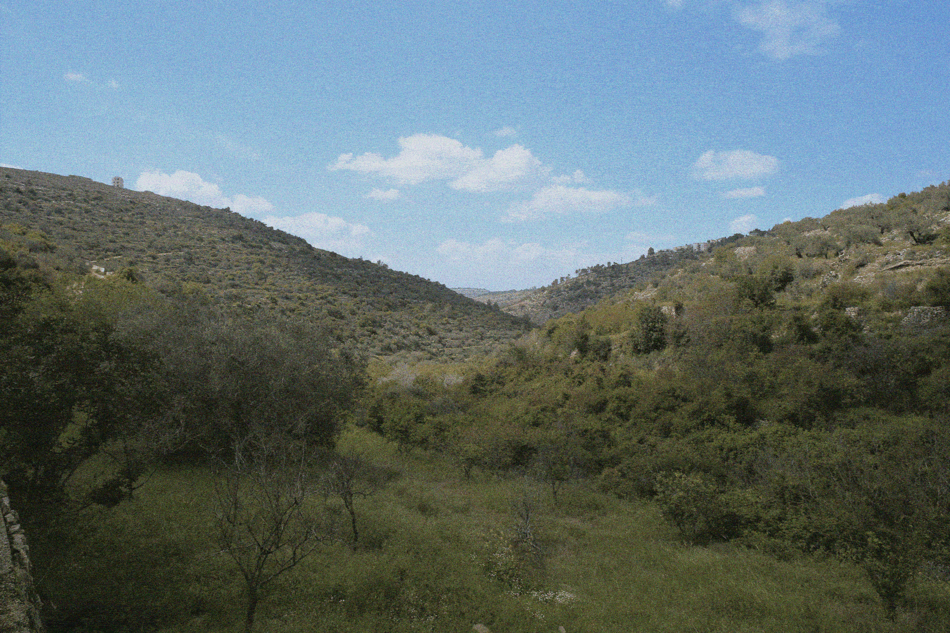 Scenic view of a valley with lush green trees and grassy areas, surrounded by rolling hills under a partly cloudy blue sky.