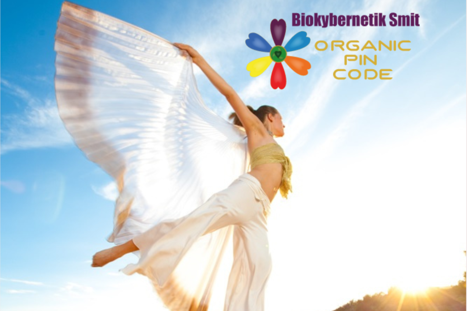 ORGANIC PIN CODE - Infoveranstaltung