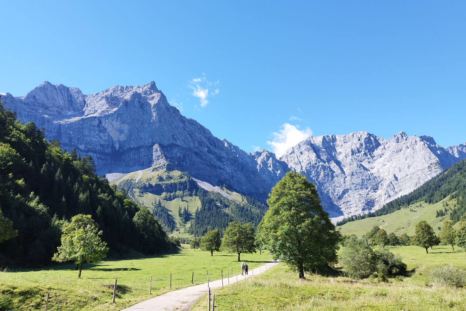 MEIN WEG - VOM ERKENNEN INS UMSETZEN mit Michaela Seidl