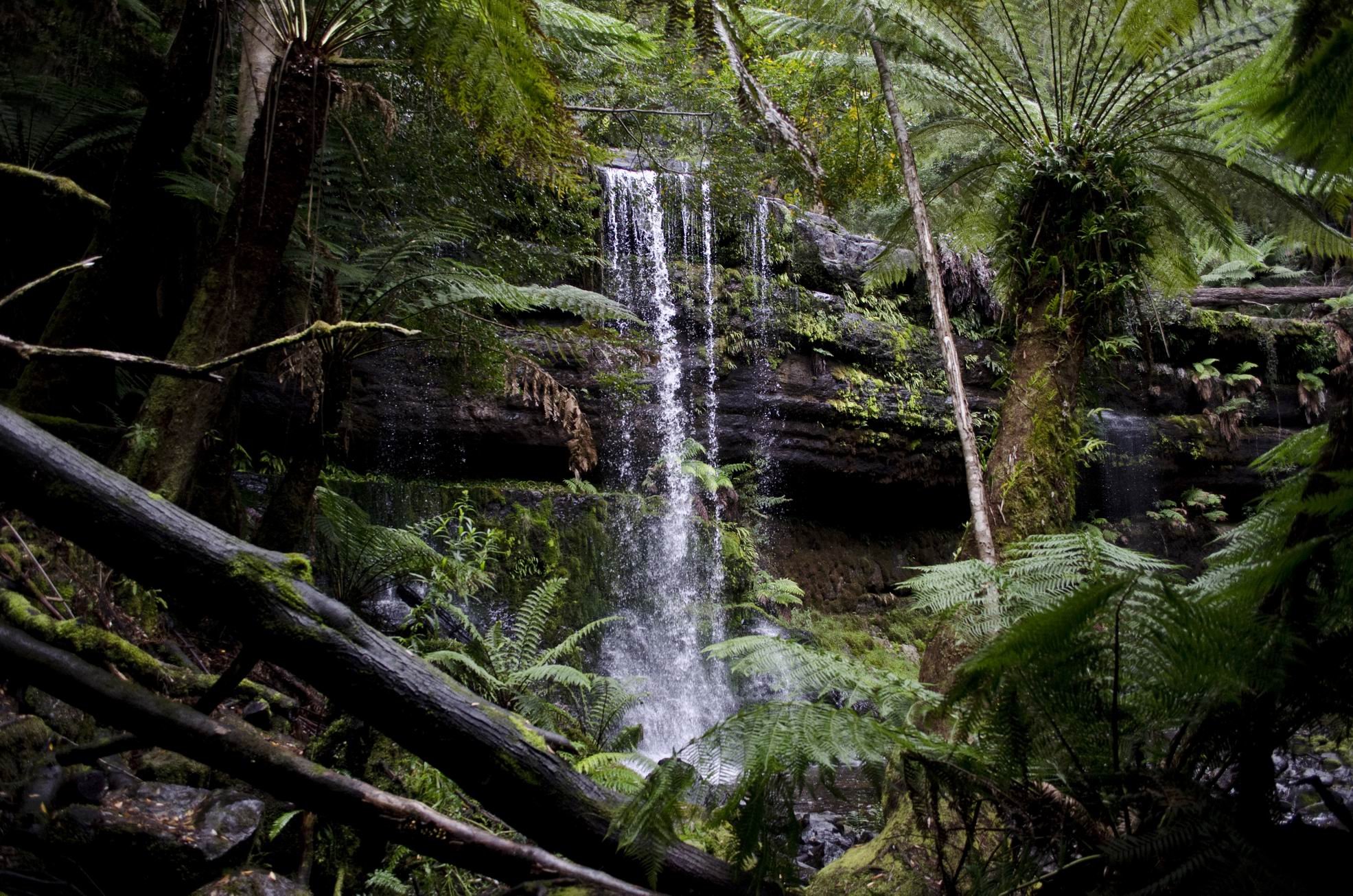 2014_Tassie_0814.jpg