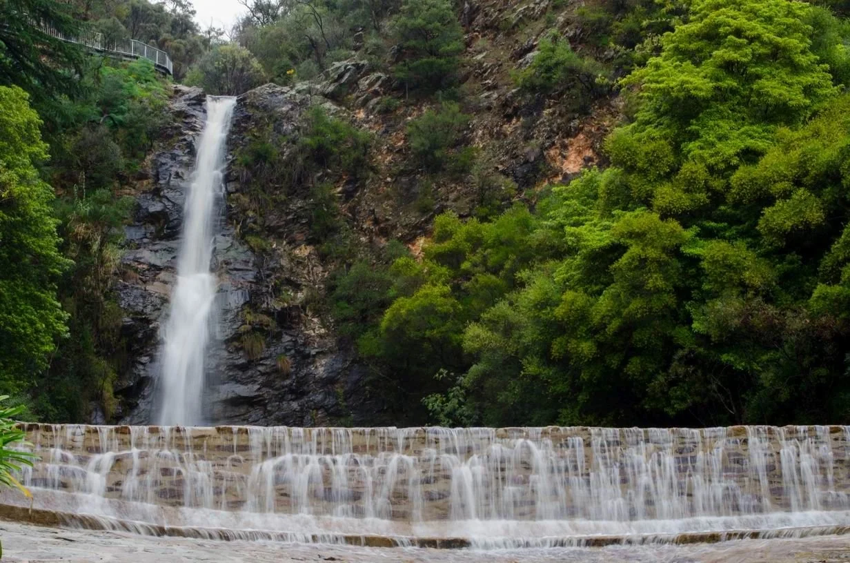 2017_Waterfall_Gully_07.jpg