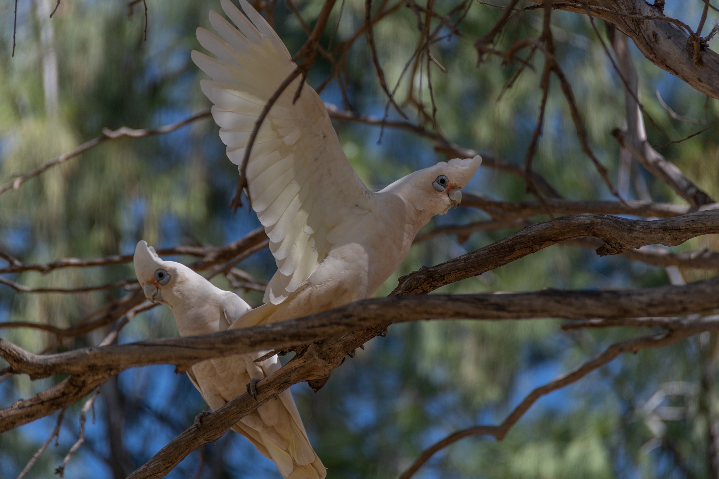 DSC_5519.jpg