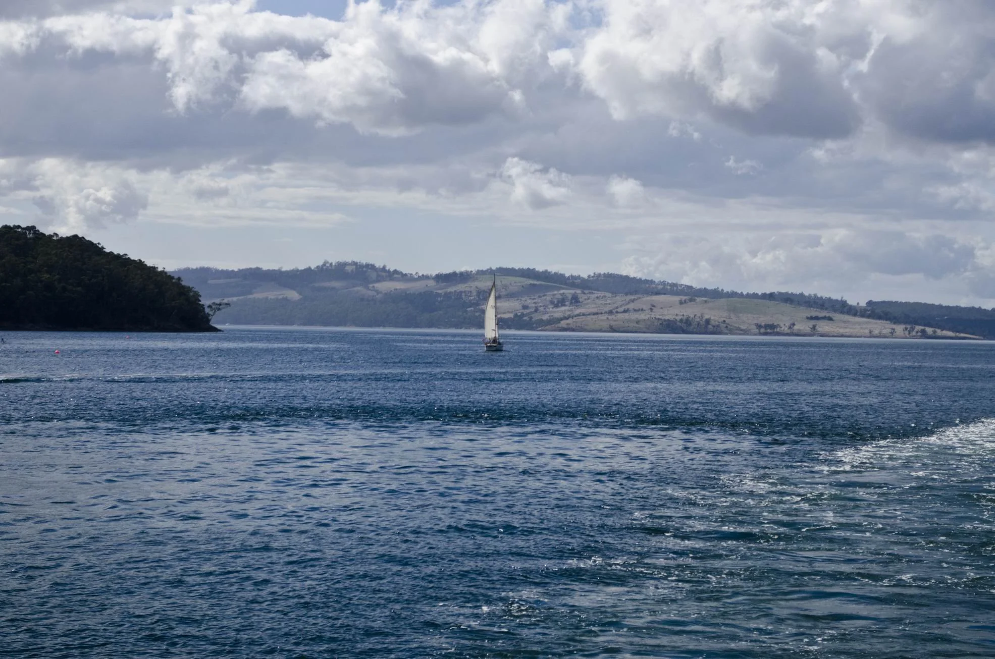 2014_Tassie_0937.jpg