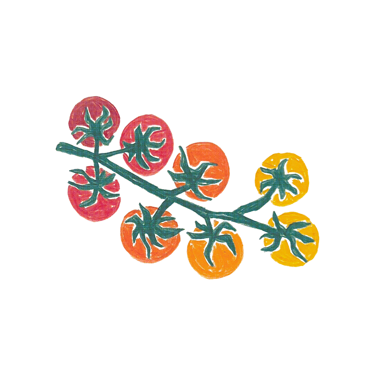 Tomates design.png