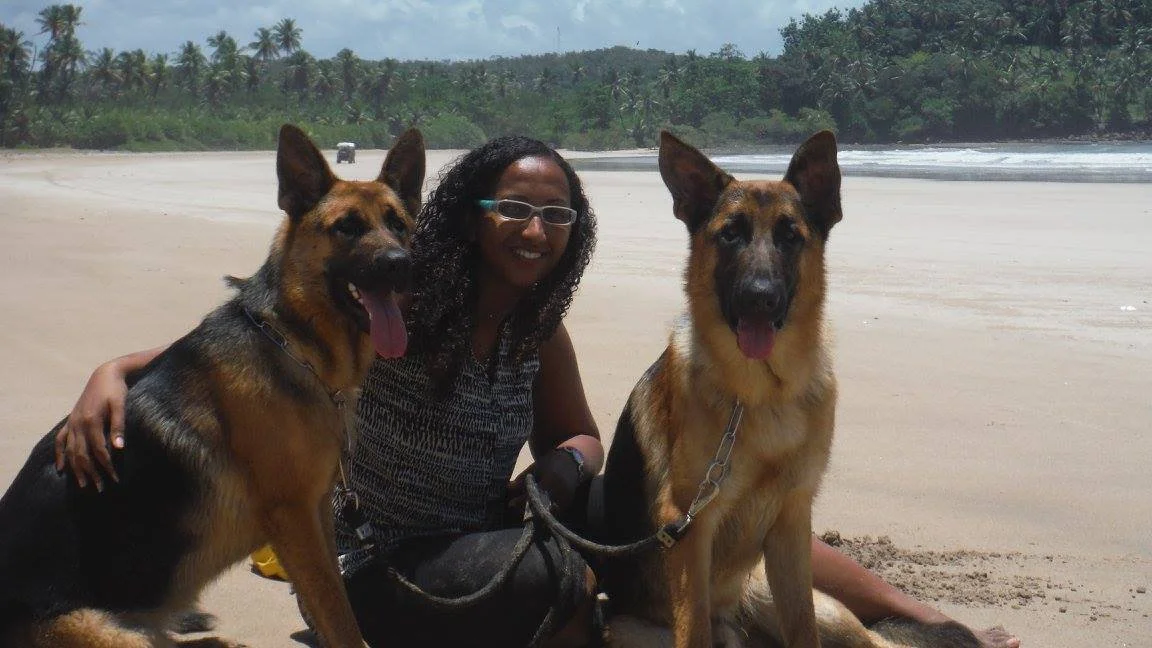 Travelling with dogs