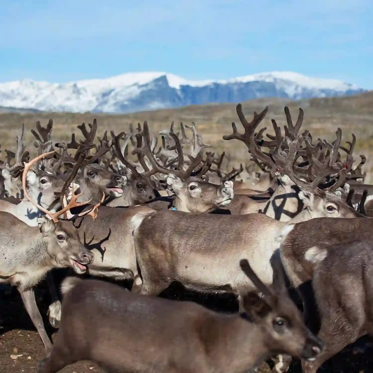 Millionstøtte: Over halvparten til reiseliv, mat og kultur