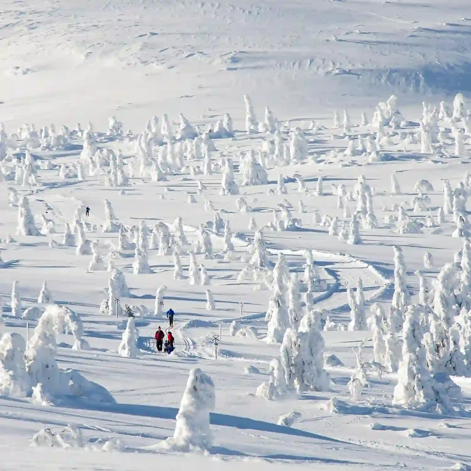 Kan ikke kreve vekst og avvise regningen