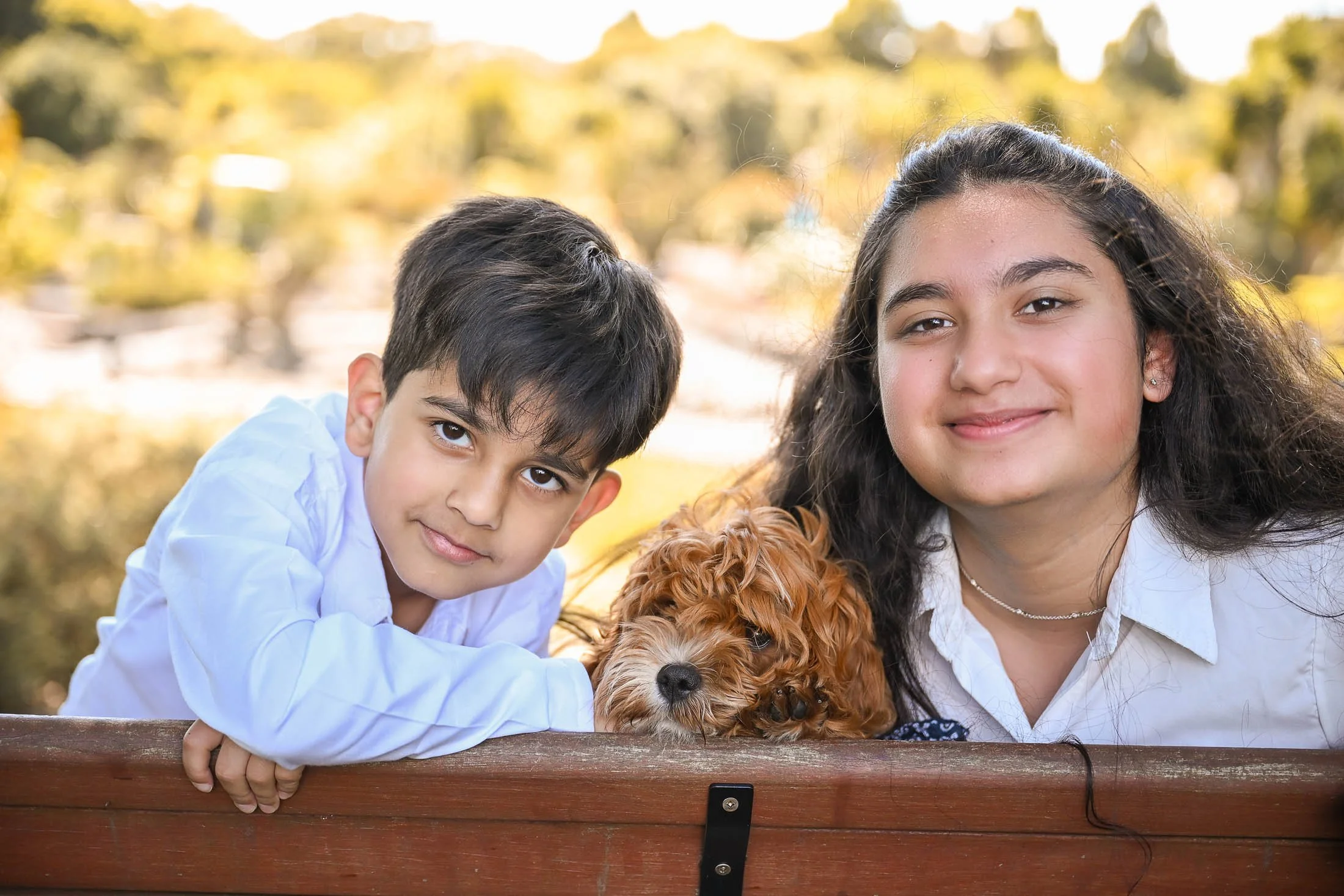 Two children, a boy and a girl, with a brown curly-haired dog, lying on a wooden bench outdoors with blurred trees and sunlight in the background.