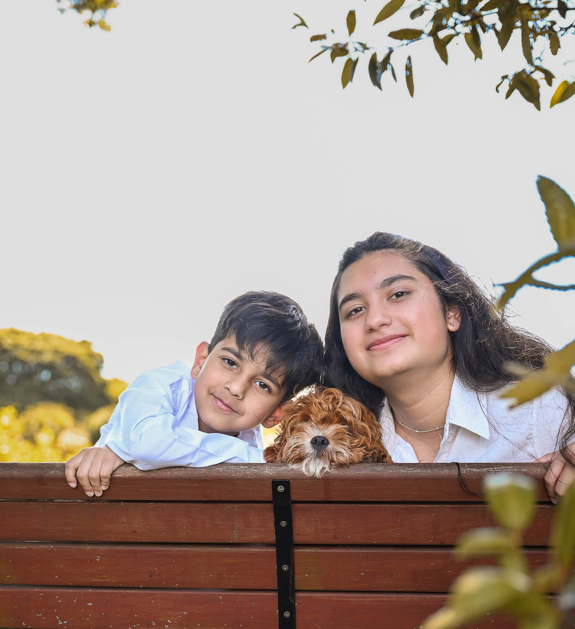 Two children and a puppy lying on a wooden fence outdoors with trees and a clear sky in the background.