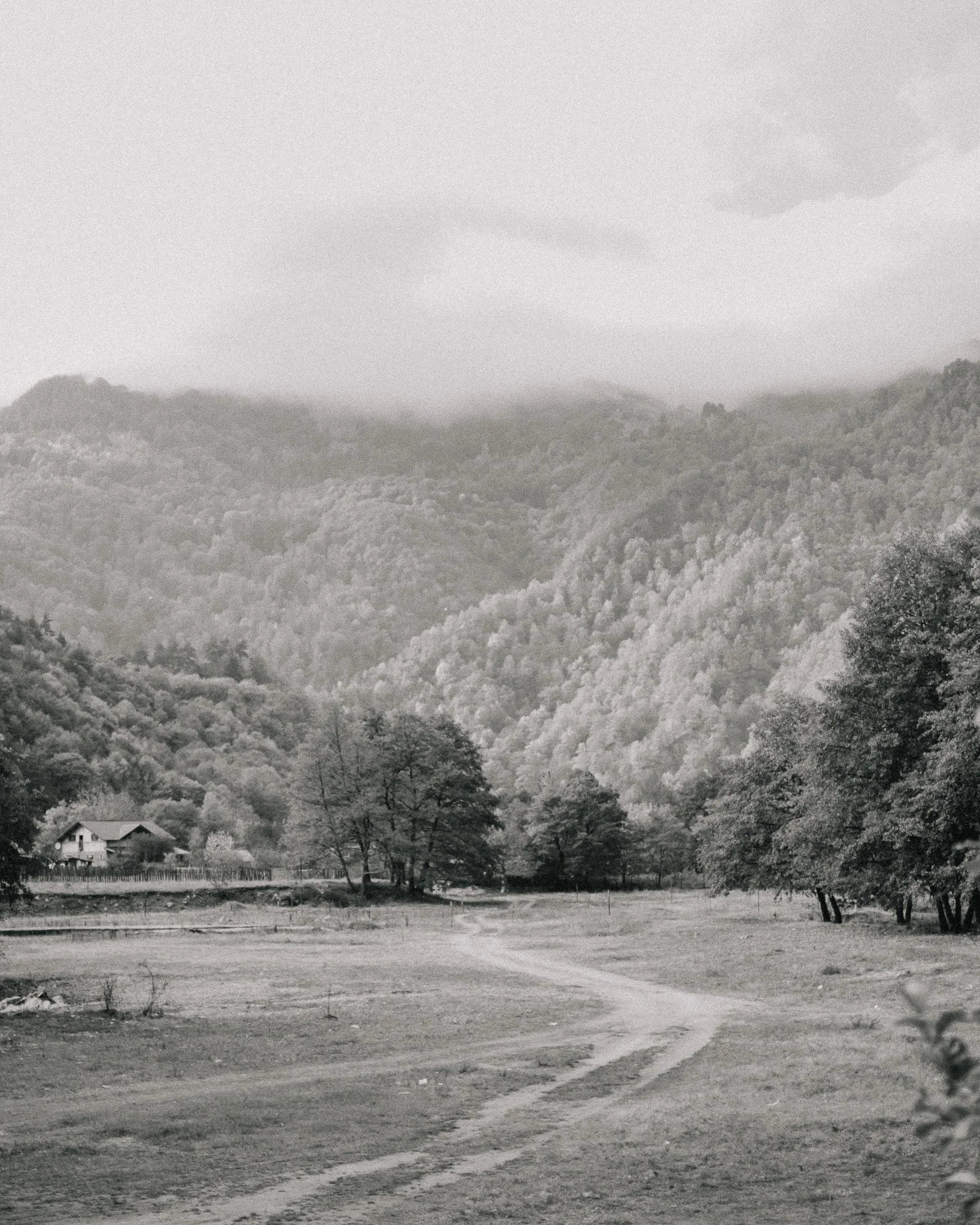A black and white landscape photo of a dirt path winding through a grassy field with trees, a house, and mountains in the background.