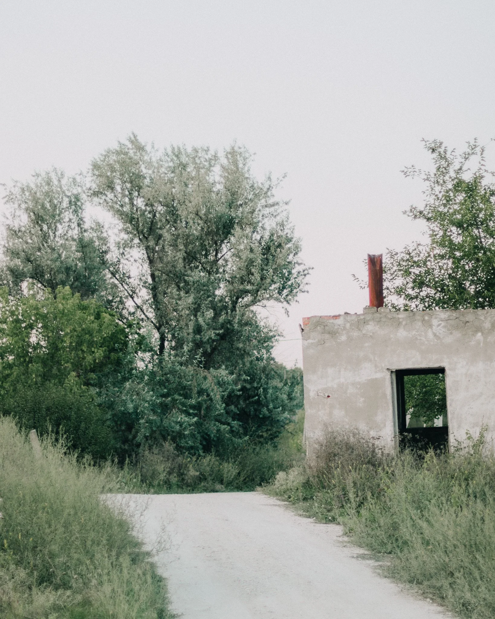 An abandoned building with an open window surrounded by overgrown grass, trees, and shrubs on a dirt road in a rural setting.