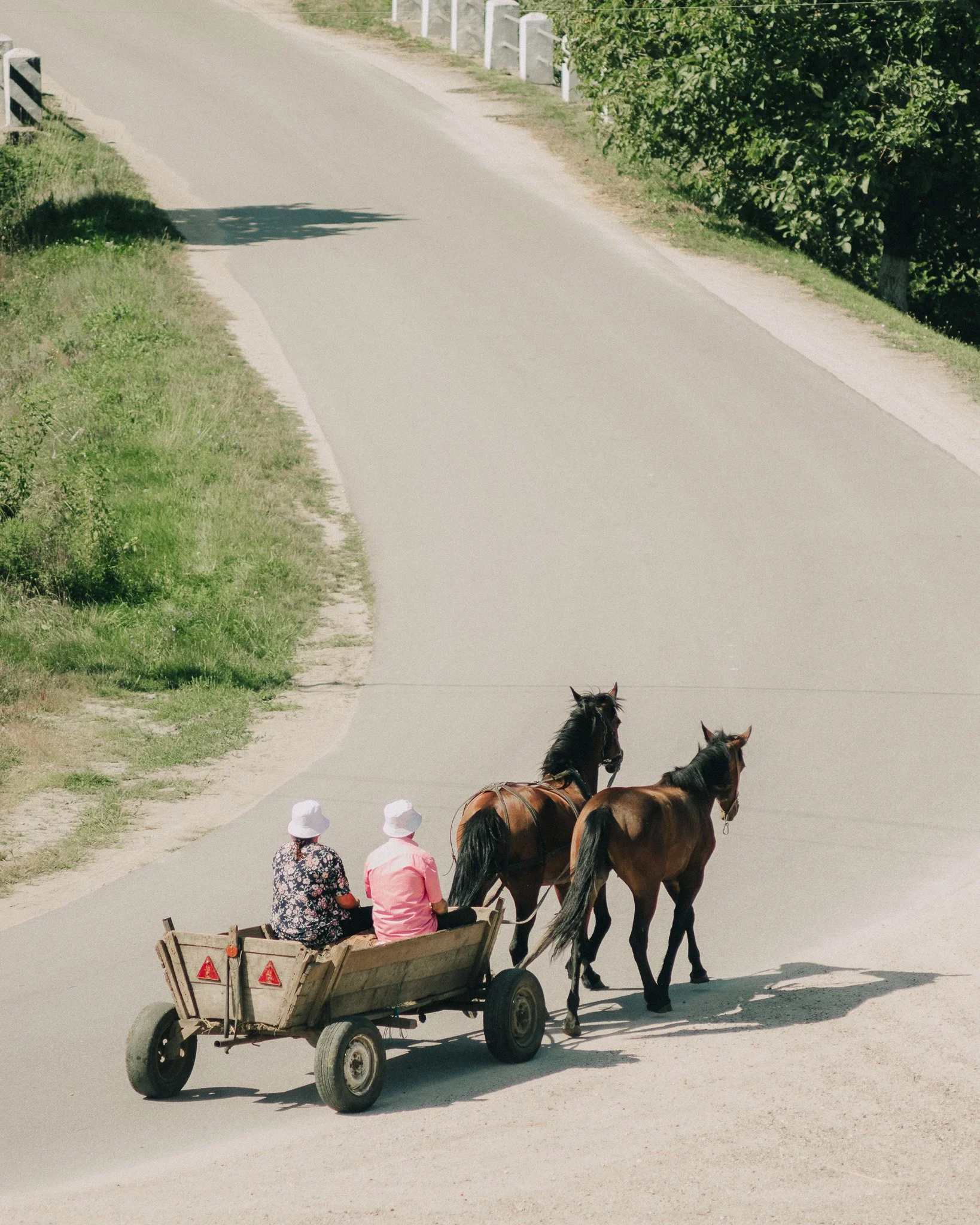 Two women sitting in a wooden cart being pulled by two horses on a road with greenery on the side.