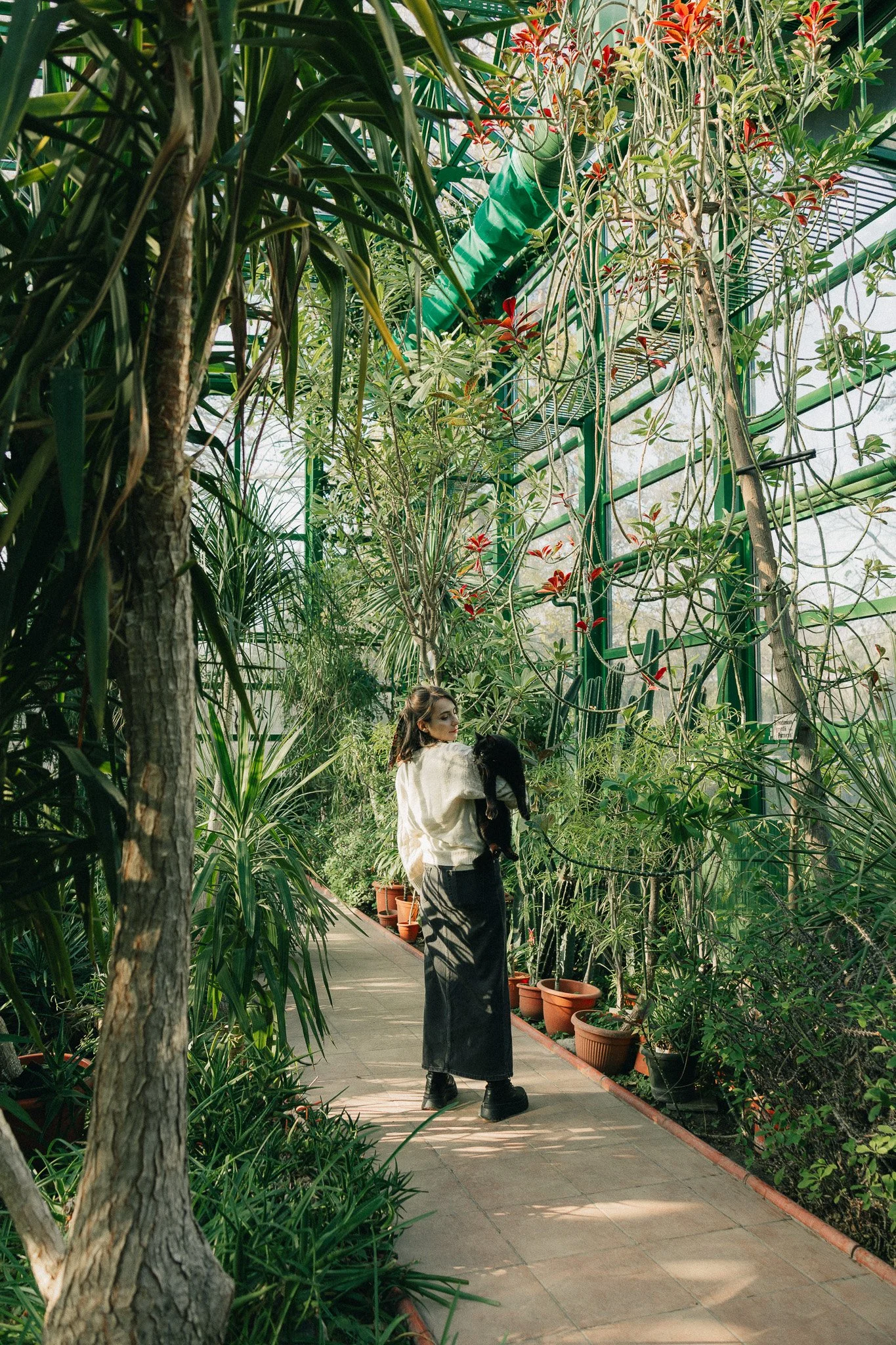 A woman carrying a small black dog walks along a narrow pathway inside a lush greenhouse filled with various green plants and foliage.