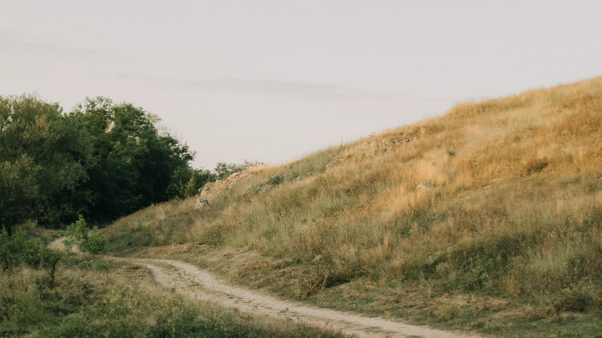 A dirt path winding through a dry, grassy hillside with trees on the left side and a cloudy sky overhead.