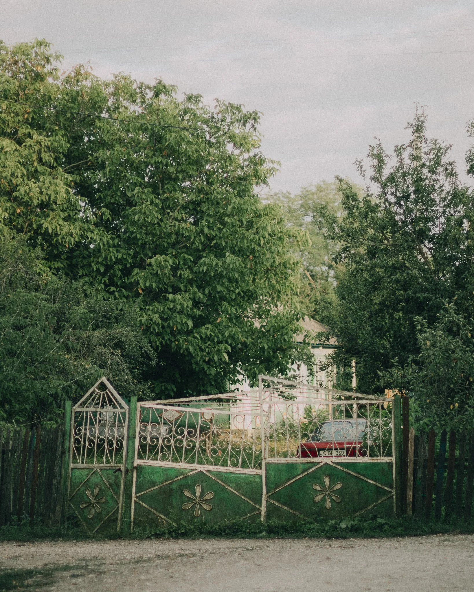 A green metal gate with floral and geometric designs, flanked by wooden fence panels, in front of a yard with trees and a red car partially visible behind the gate.