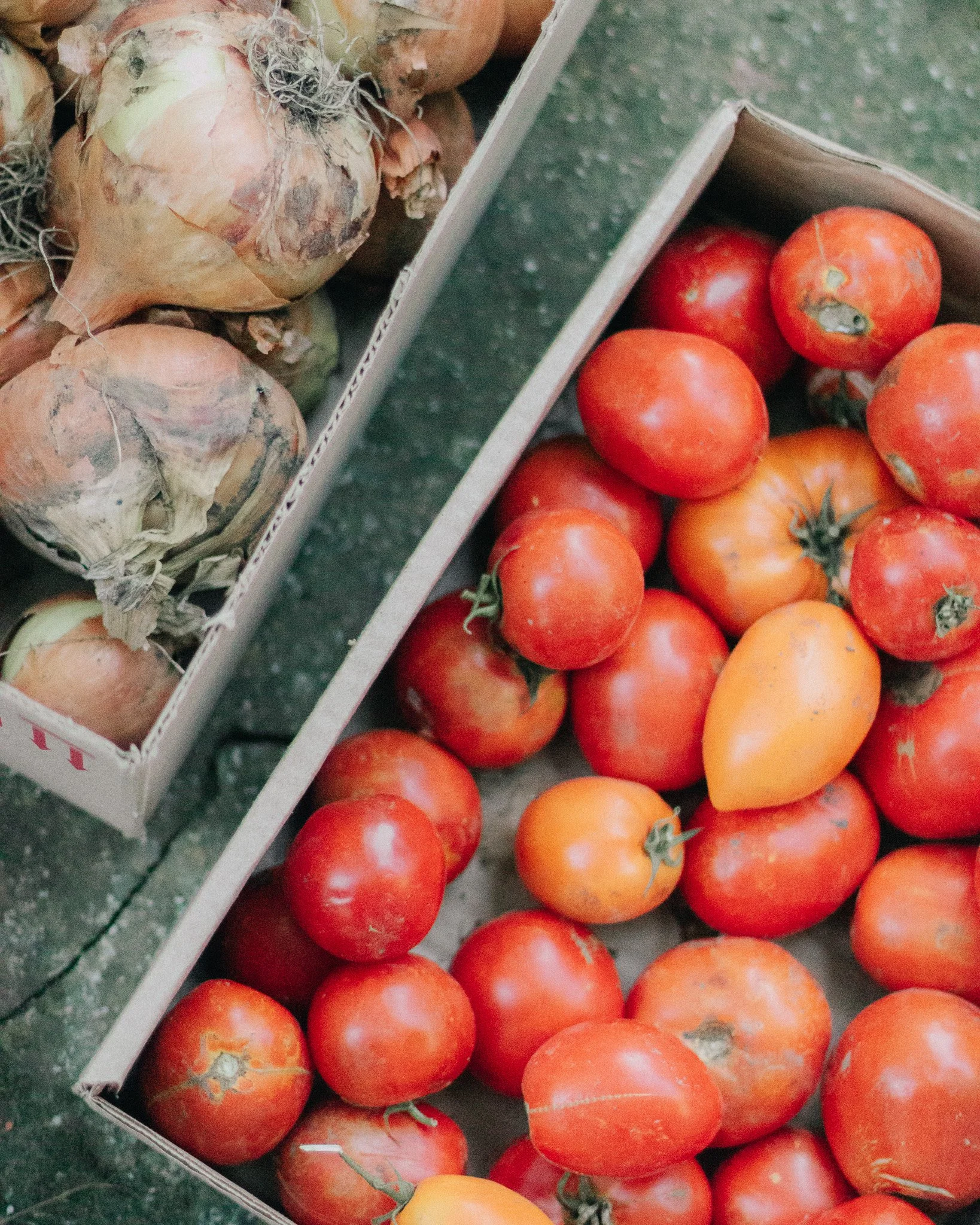 Boxes of onions and tomatoes at a market or grocery store.