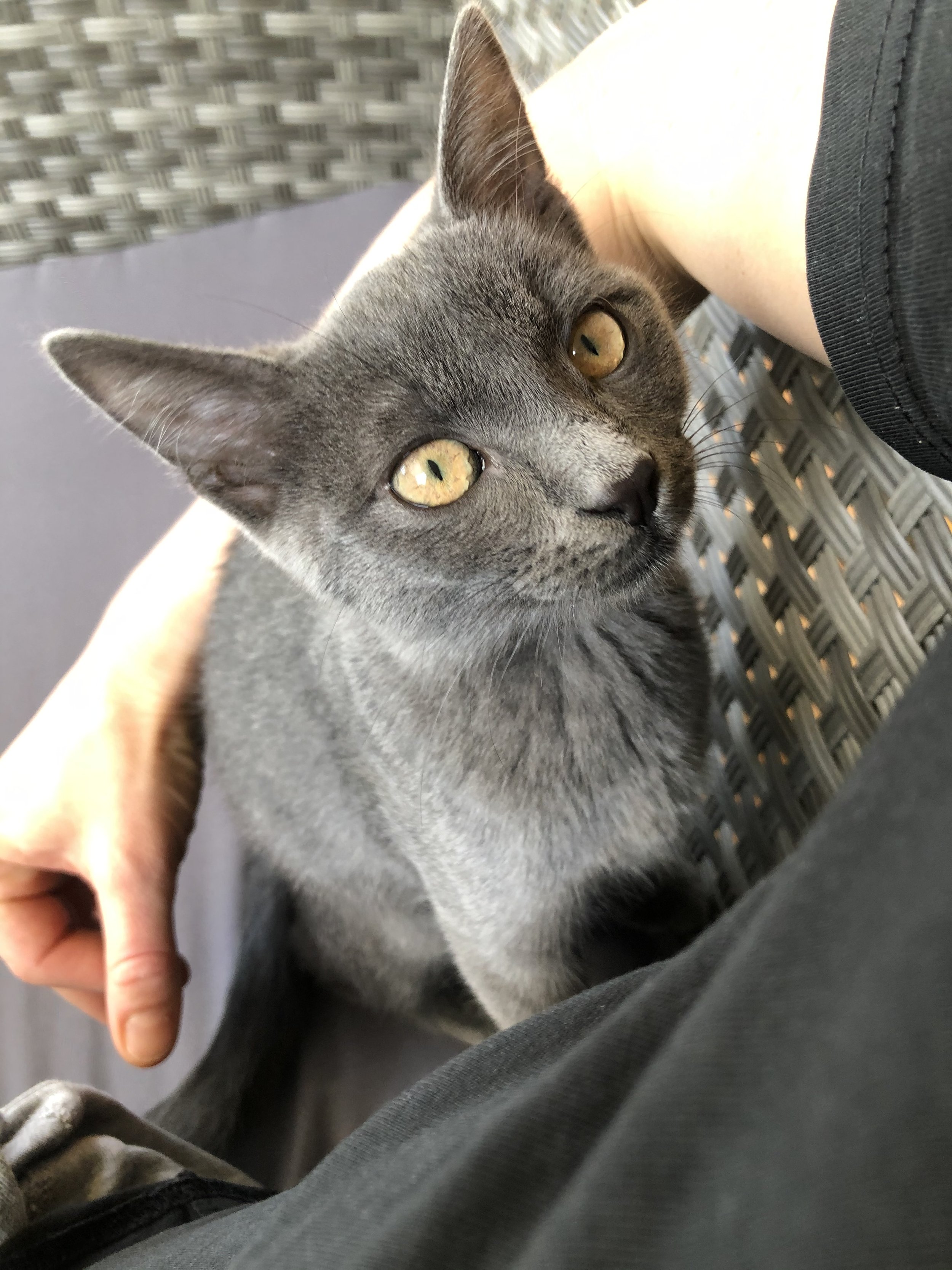 She showed me how much love unfolds when you meet an animal exactly where they are and open your heart in the way they can receive it.