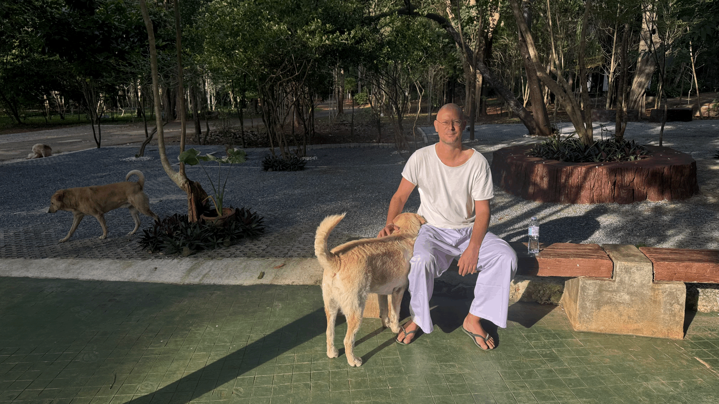 How I became an Anagarika