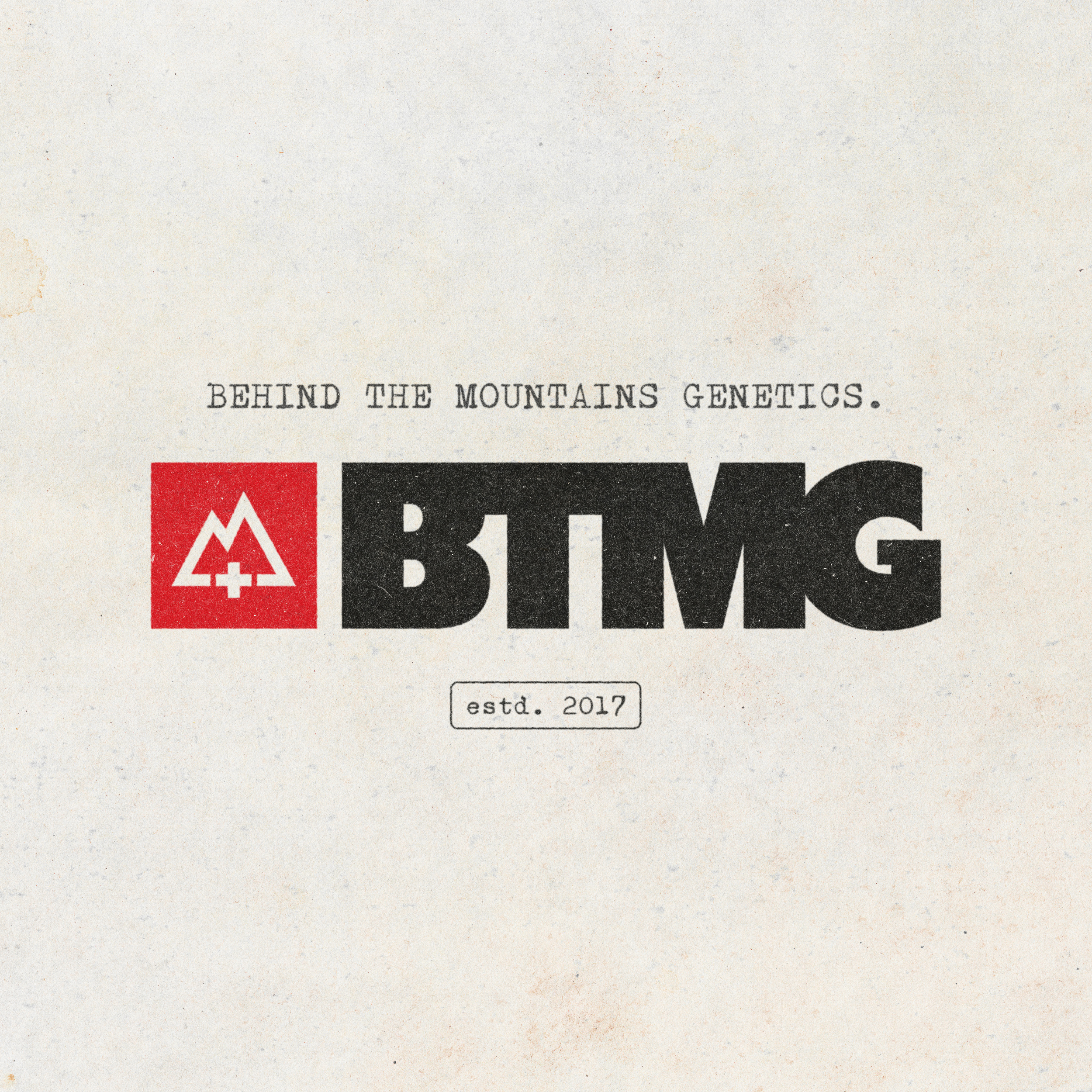 BTMG_LOGO_EFFECT.png