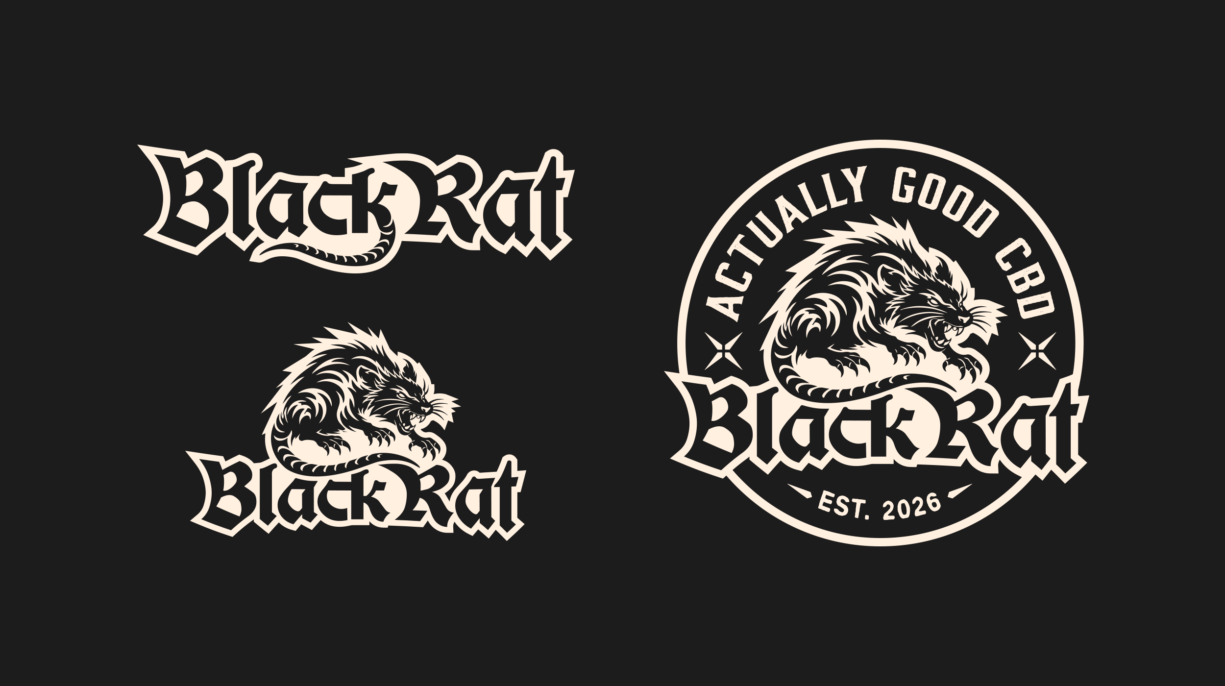 Projects_querBlack-Rat-2.png