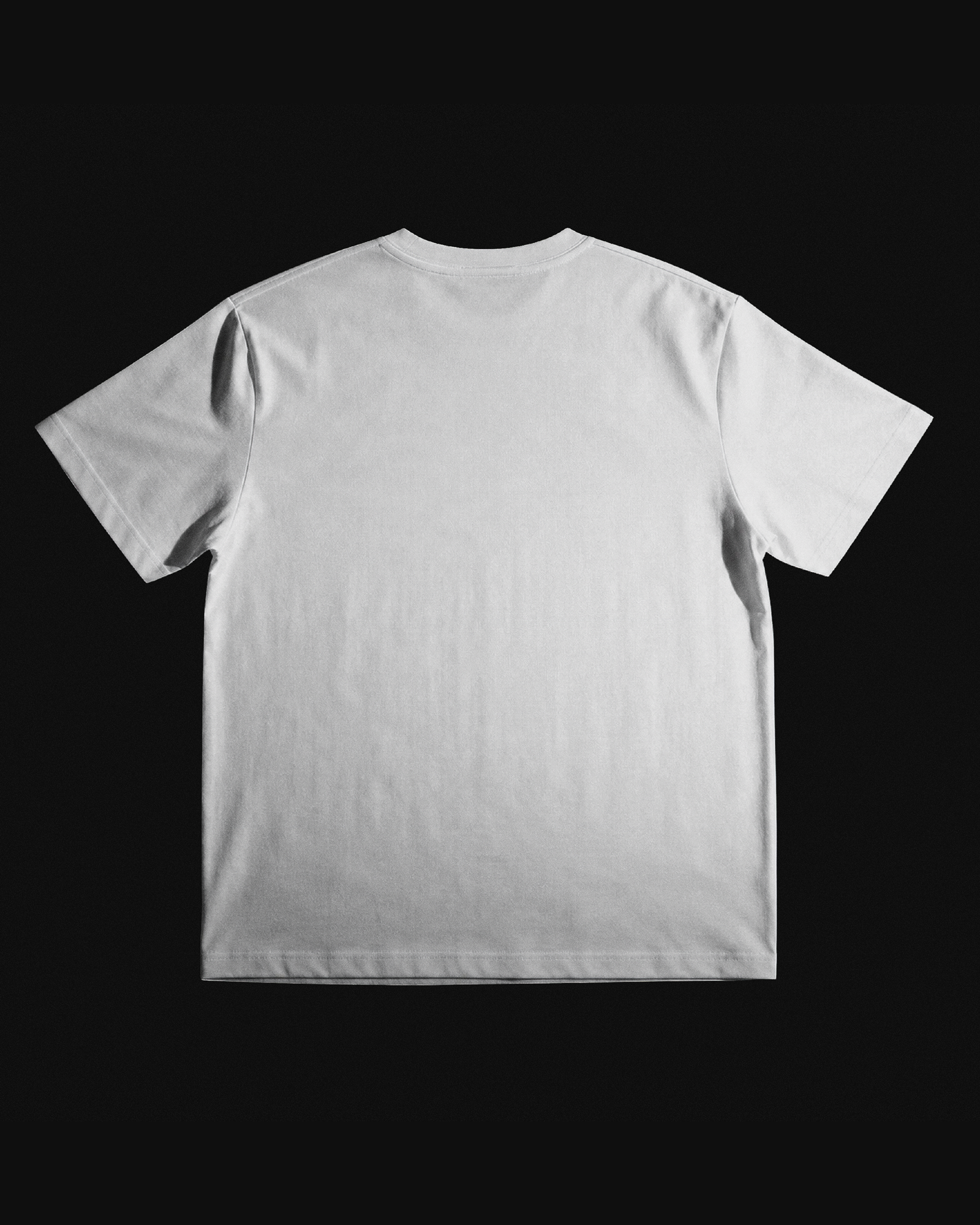 Gummibaum_MockUp_Back.png