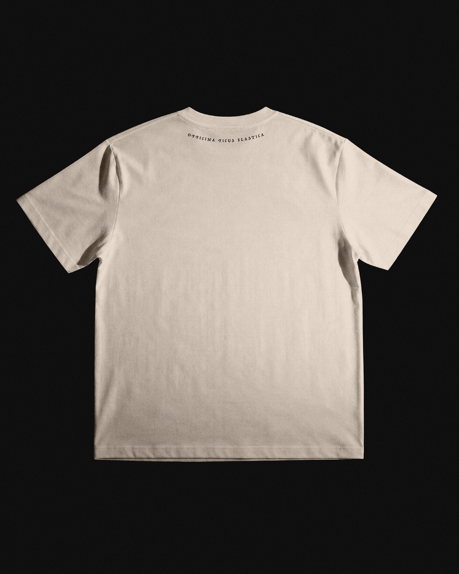 Schloss_MockUp_Back_Neu.png