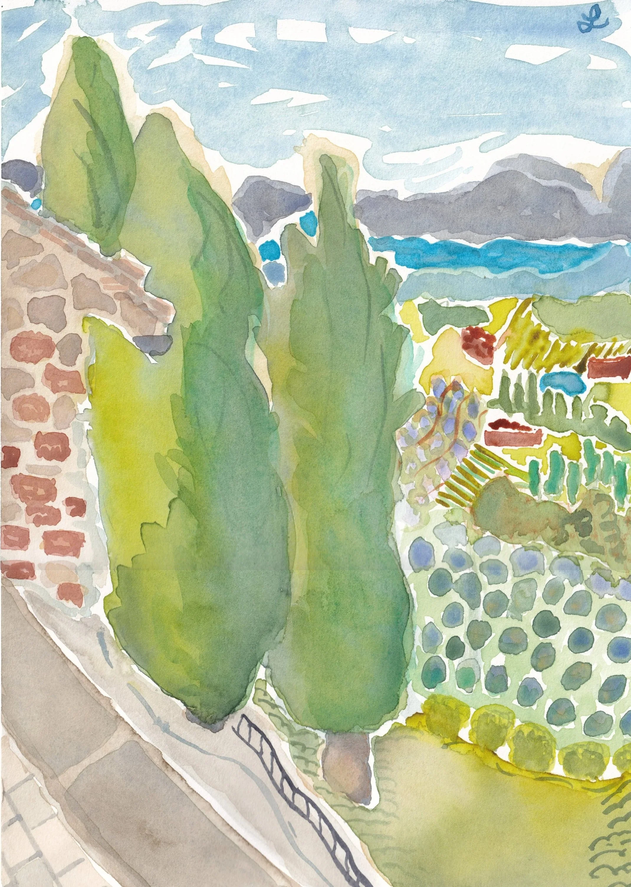 Uliveto. Olive grove. Panicale, October 2025