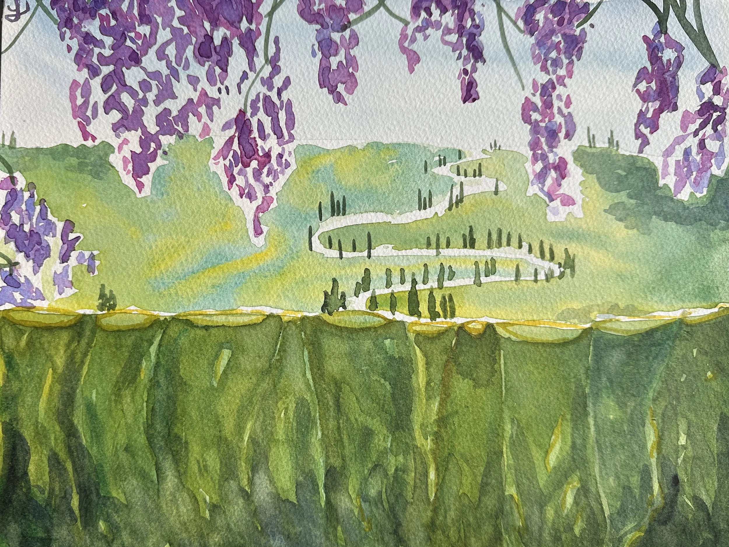 Cipressi. Cypresses. La Foce, April 2026