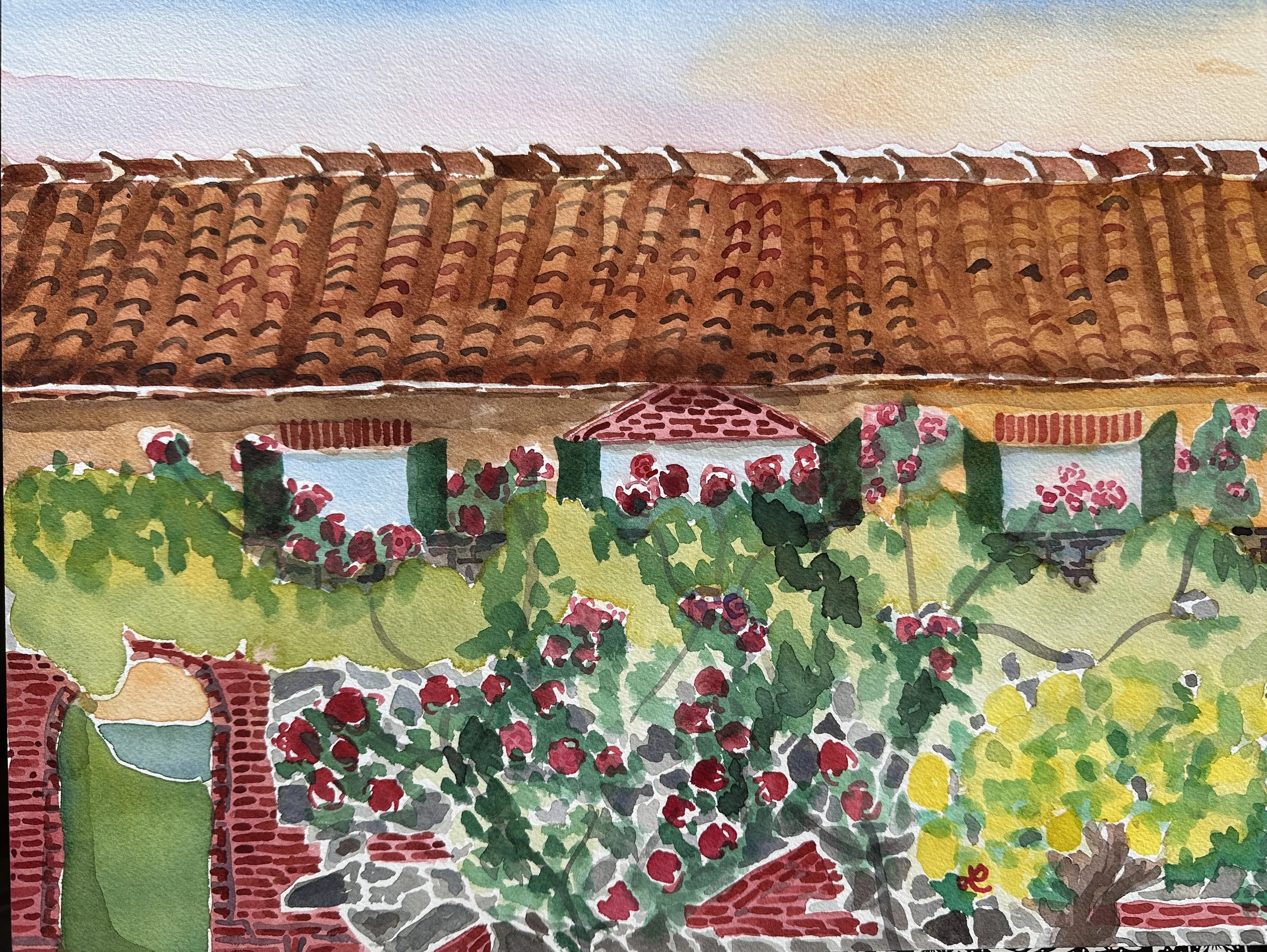 Roses at Sunset. La Foce, April 2026