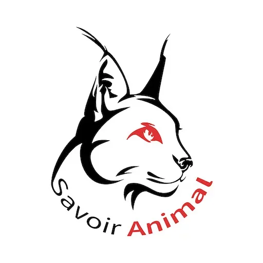 Logo avec une silhouette de chat représentant un animal, avec le texte 'A voir Animal' en dessous, utilisant des couleurs noir et rouge.