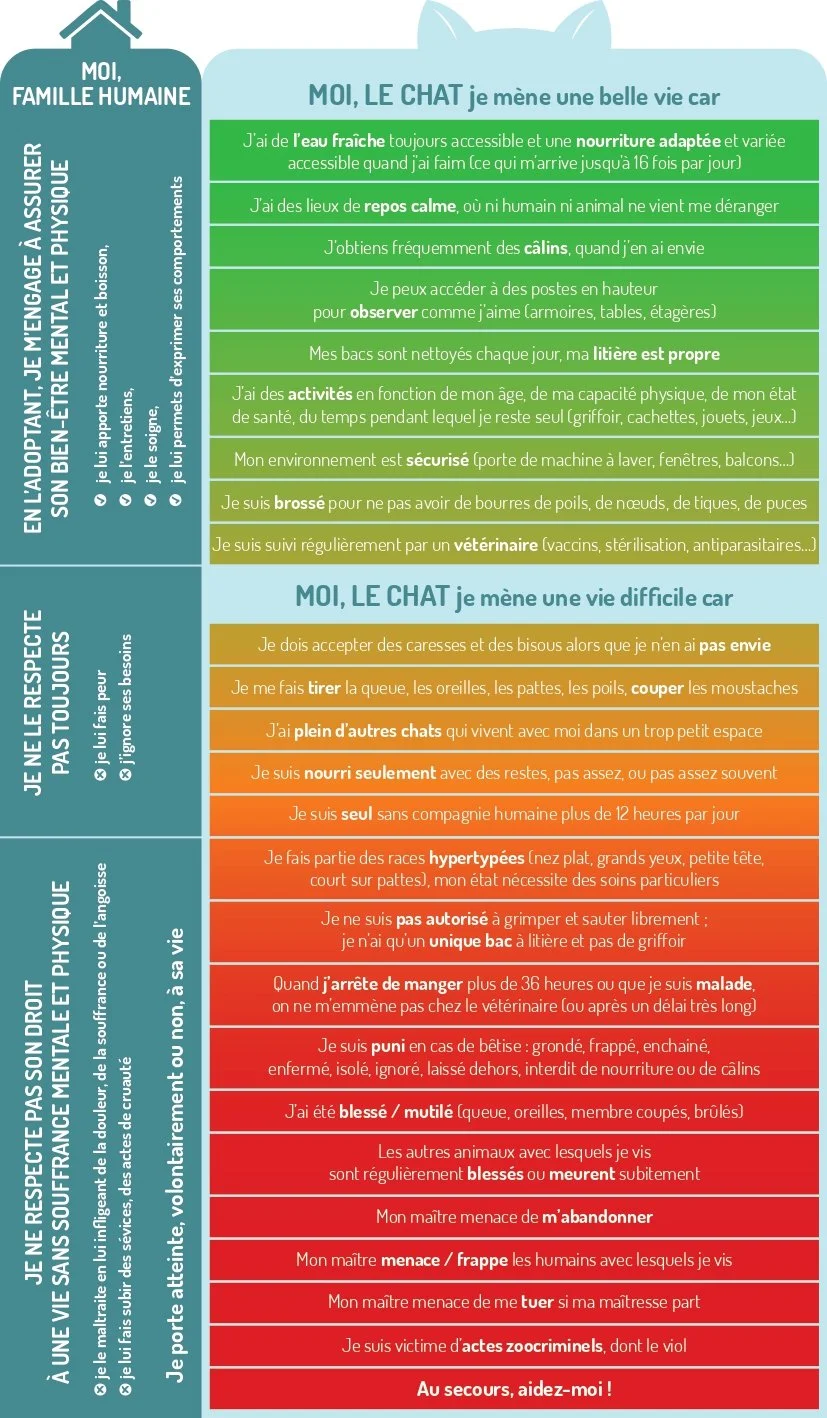 AMAH-AssociationContreLaMaltraitanceAnimaleEtHumaine-ViolentMonMaitre-Proprietaires-Chat-VF_page-0001.jpg