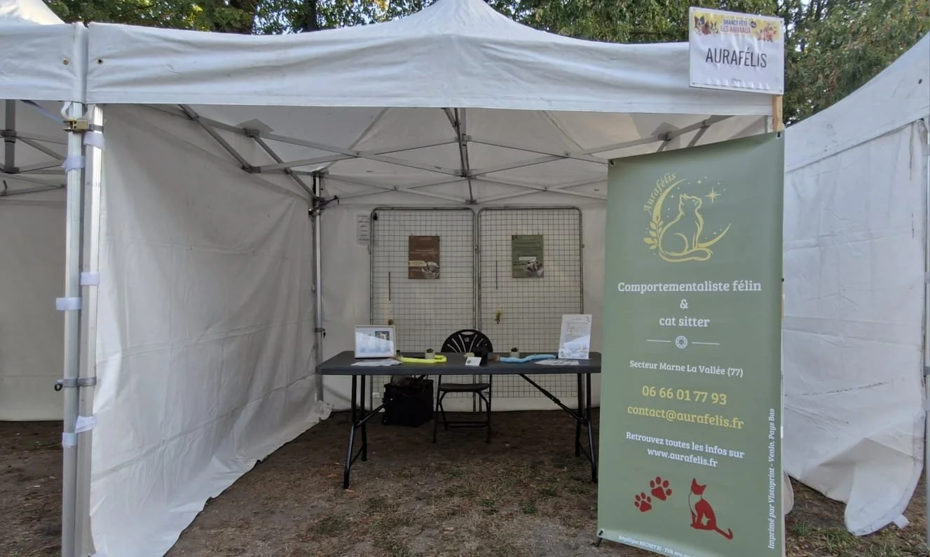 Stand Aurafélis pour le comportementalisme félin et le cat sitting, à Drancy fête les animaux