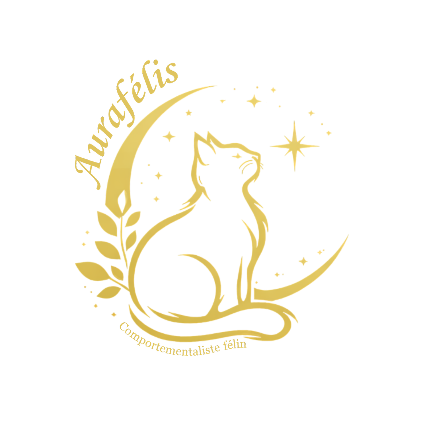 Aurafélis - Comportementaliste félin et cat sitter à Marne-la-Vallée