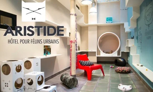 Hôtel ARISTIDE pour félins urbains à Paris