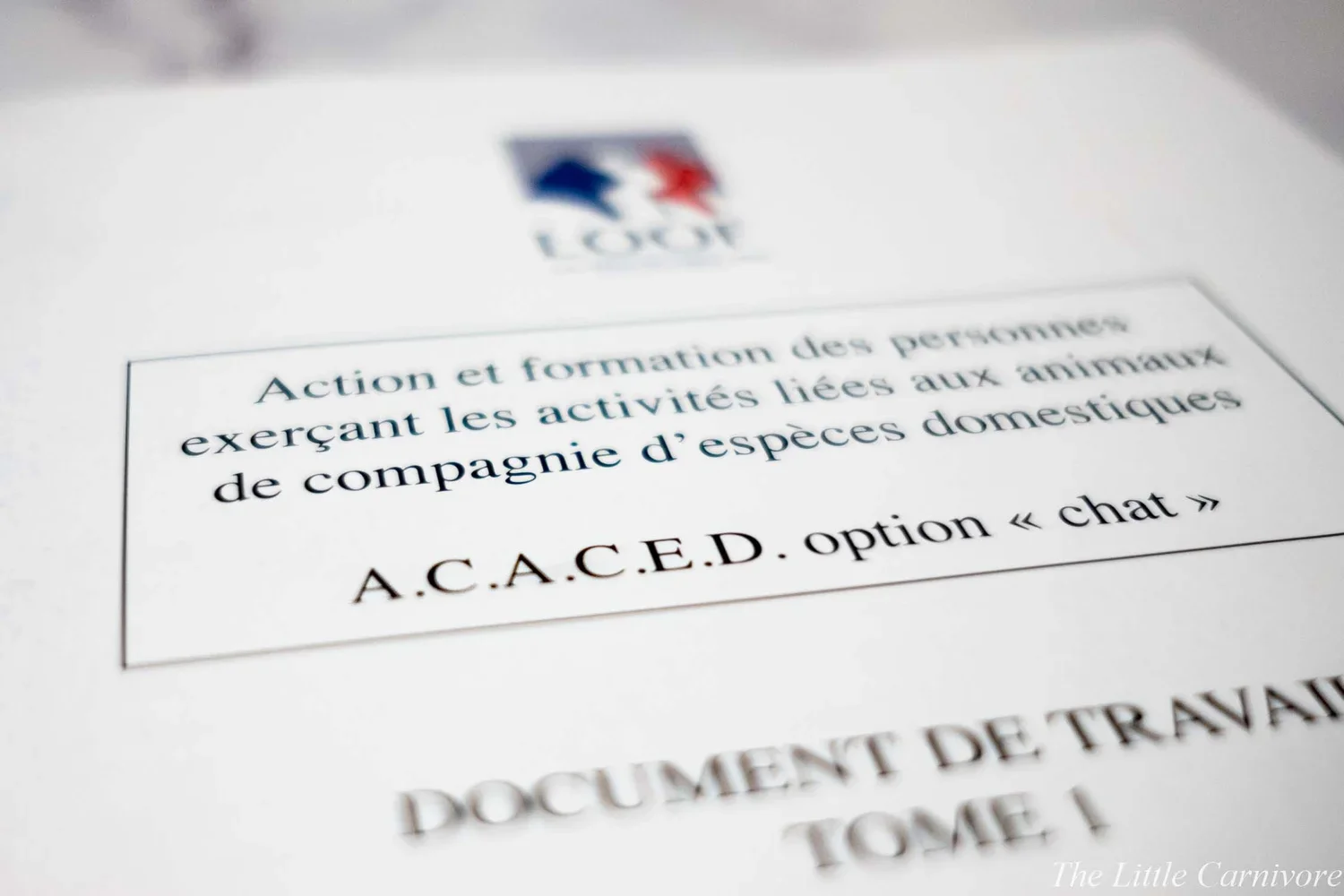 ACACED félin - Certification d'Etat