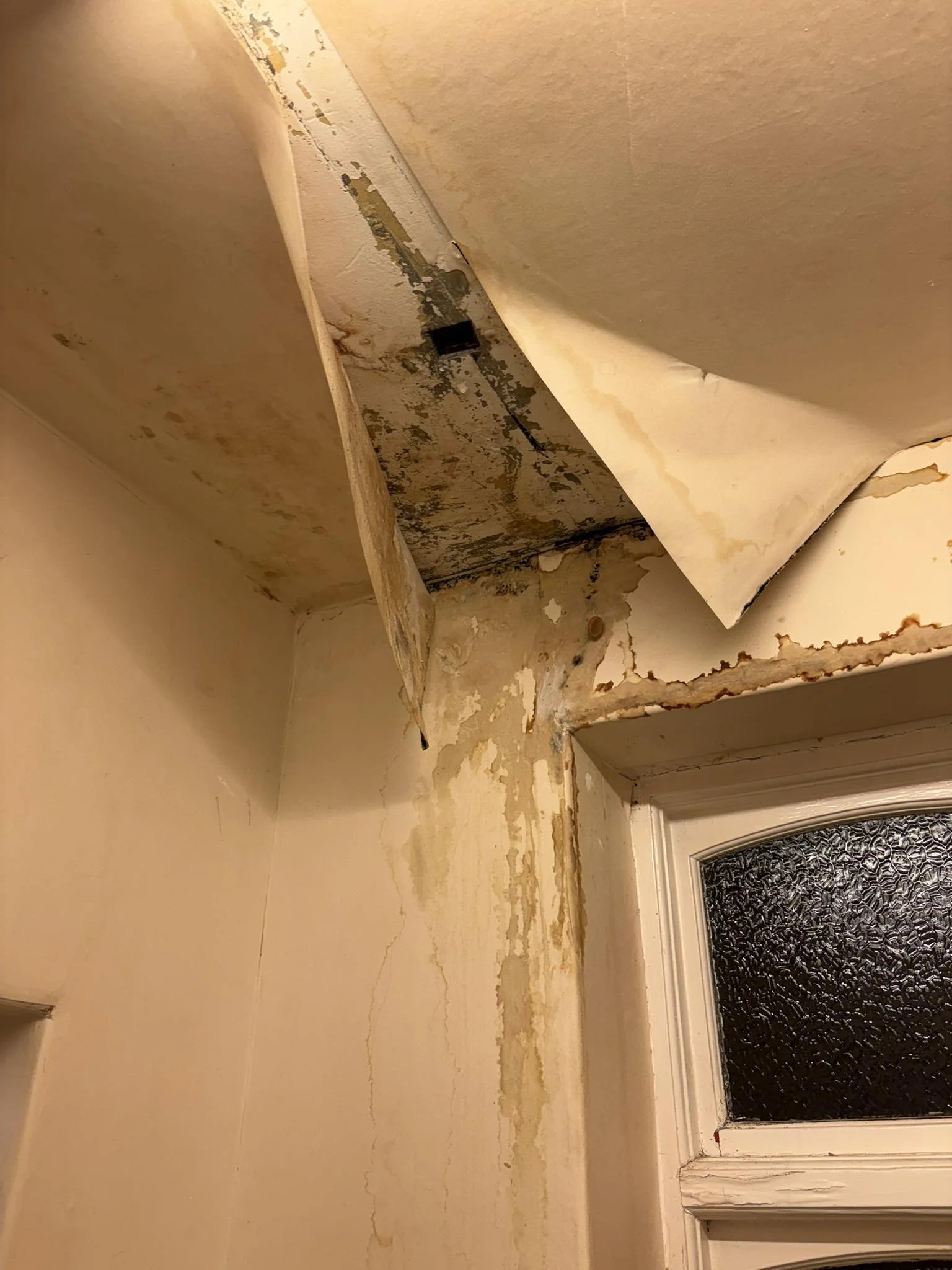 A close-up of a section of a wall with peeling paint and damage, adjacent to a bathroom or porch door with a frosted glass window, showing signs of water damage and decay.