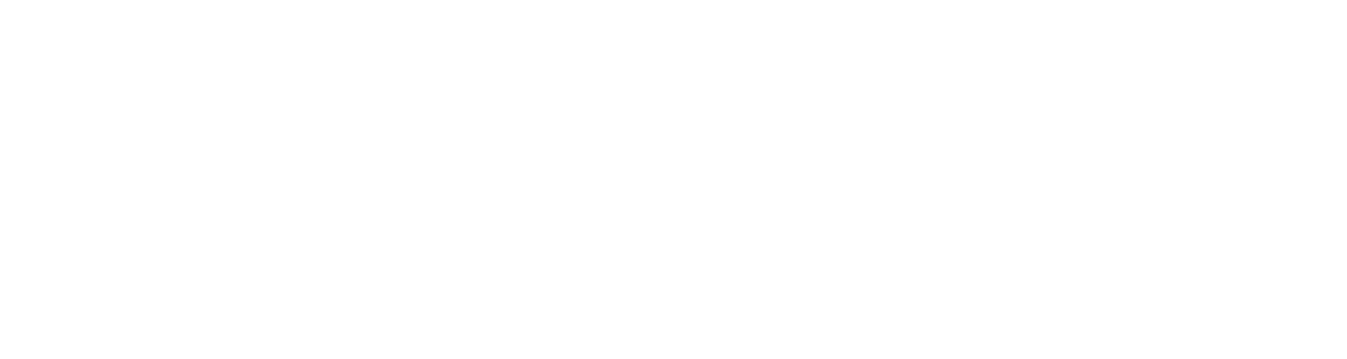 Migliorini Conseil