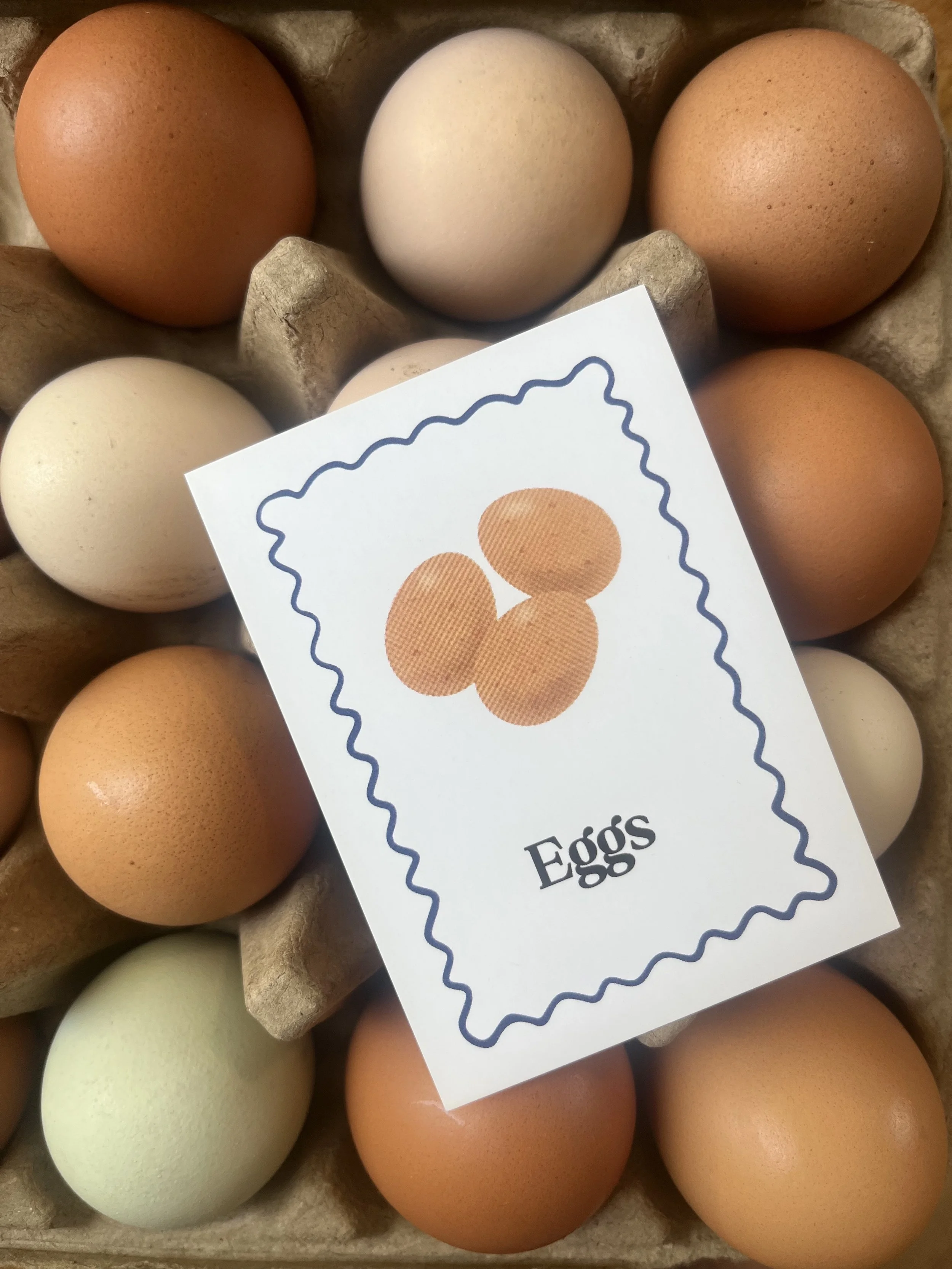 eggs.jpg