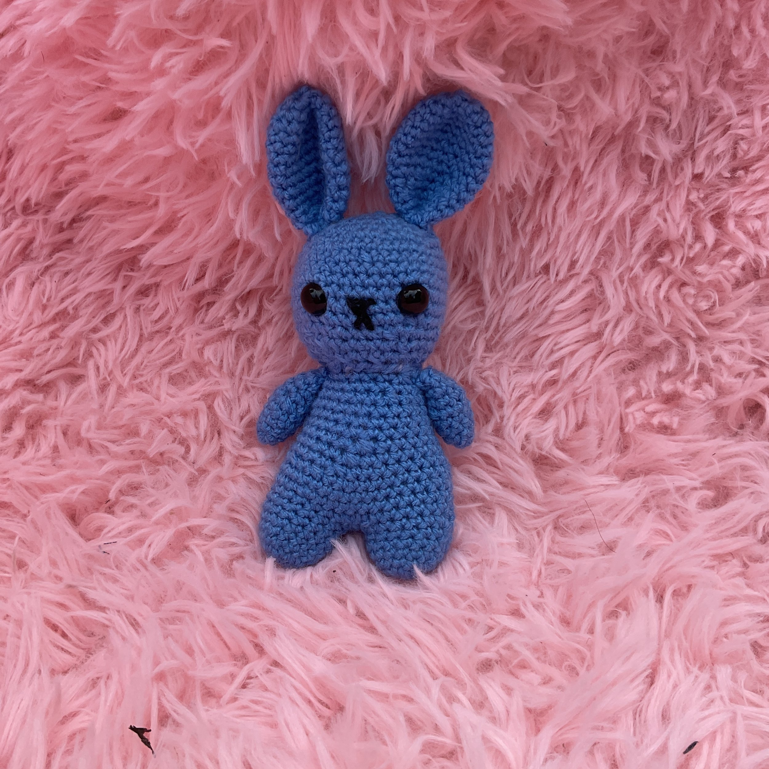 Blue Bunny! 🐰