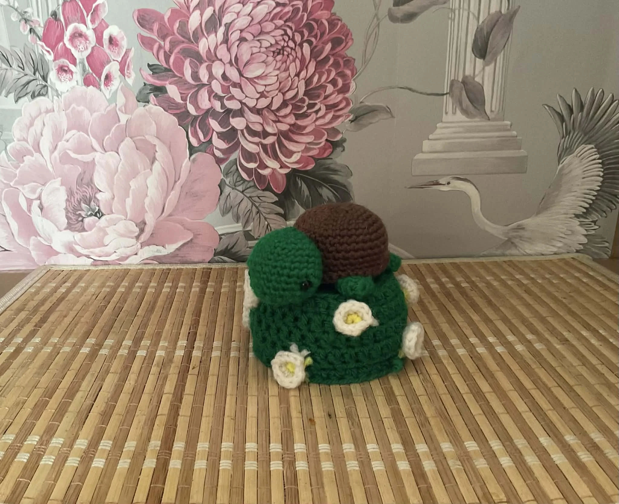 Little Timmy Tortoise 🐢