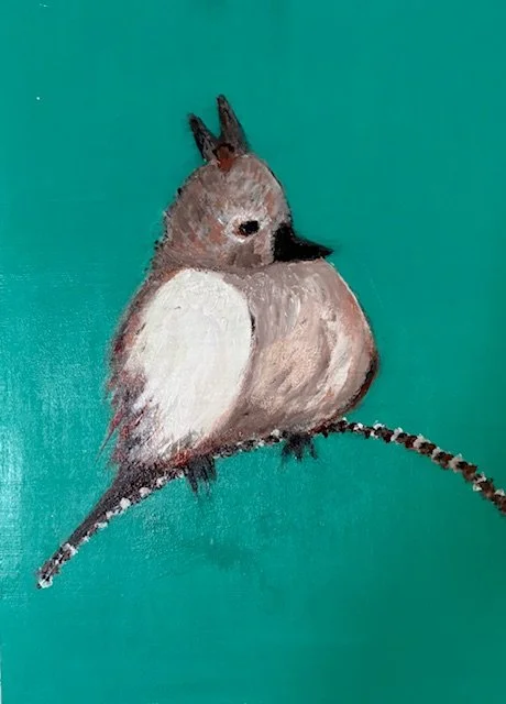 Titmouse- 11A