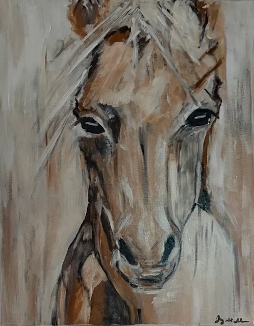 Horse- 14A