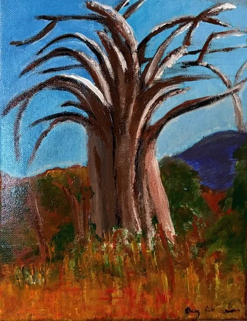 M47- Baobab Tree