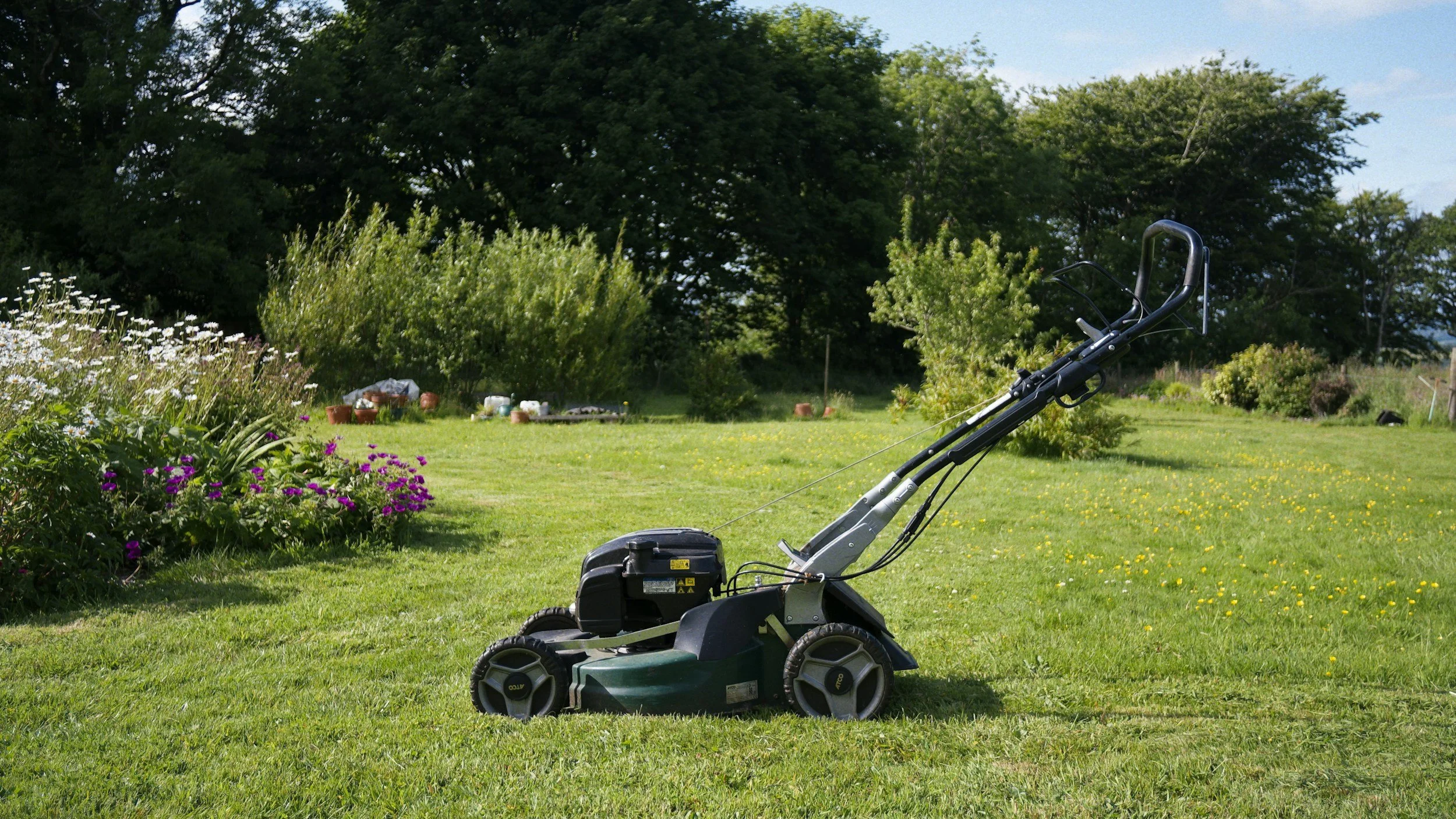 Professional garden maintenance service in Midhurst