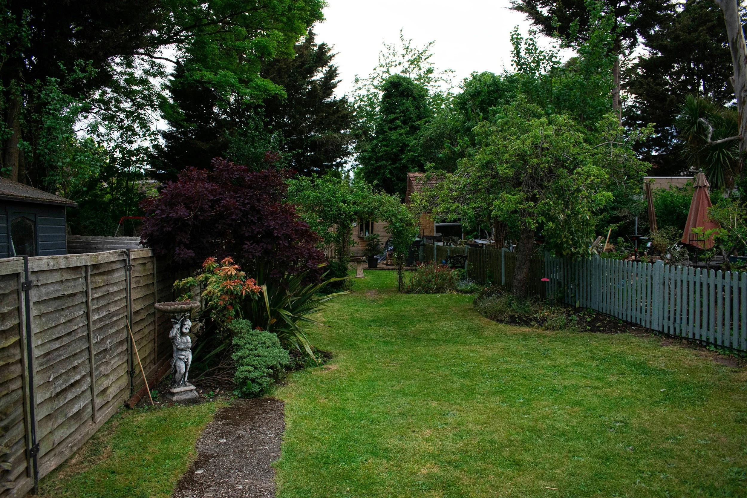 Professional garden maintenance service in Midhurst