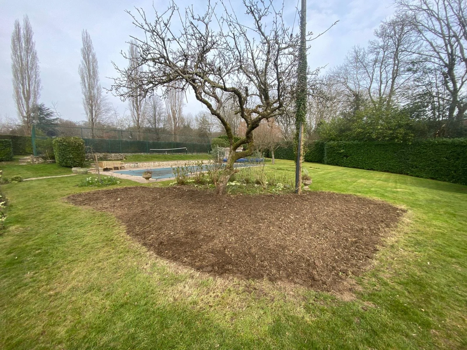 Tree Stump Removal Fernhurst | Garden Clearance Services