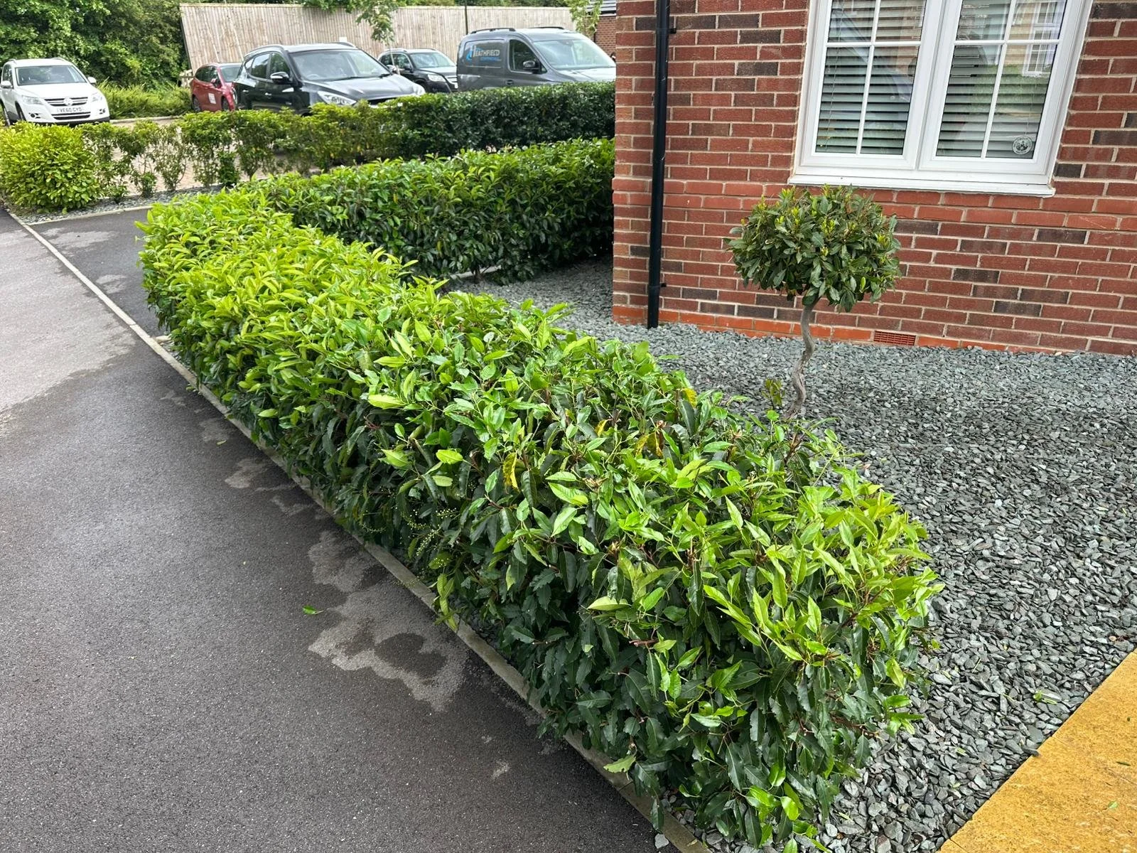Hedge Cutting Services in Midhurst, Chichester and Surrounding Areas