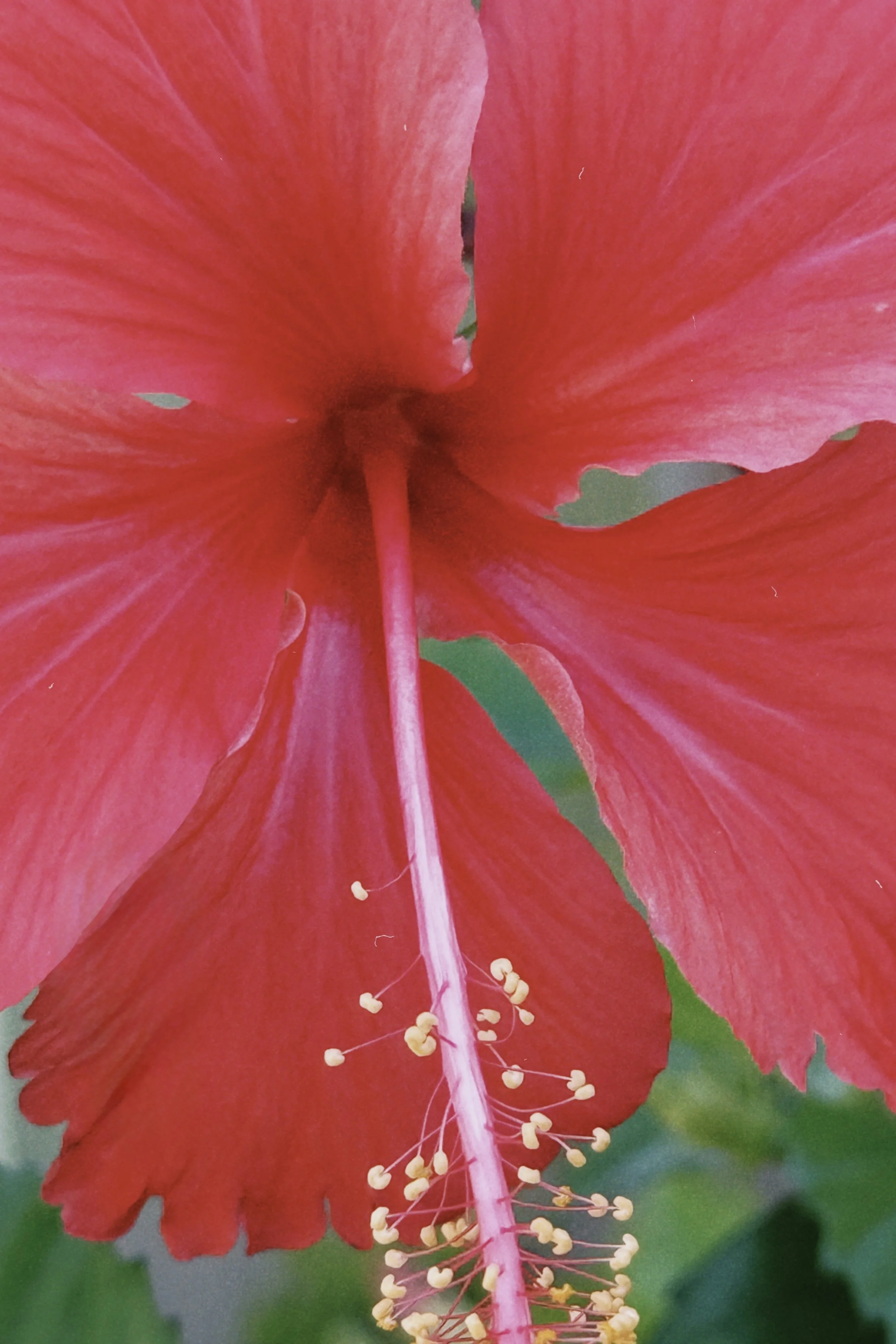 dclassic 2025-07-14 182636.004.jpg